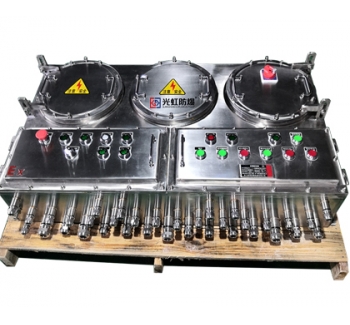 304不銹鋼防爆控制箱（IICT4） BXK不銹鋼防爆箱