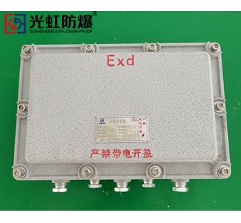 IIB隔爆型防爆接線端子箱空箱（IP54 T6）