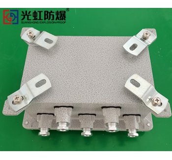 IIB隔爆型防爆接線端子箱空箱（IP54 T6）