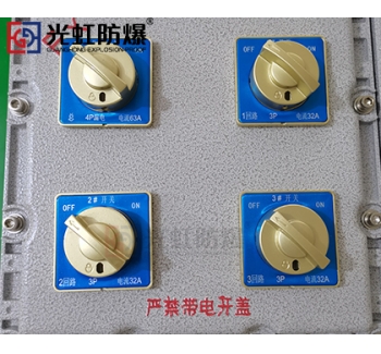 粉塵防爆配電箱 現(xiàn)場防爆動力配電箱