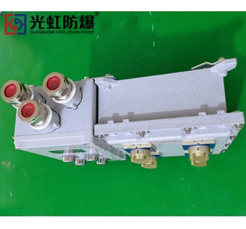 粉塵防爆配電箱 現(xiàn)場防爆動力配電箱