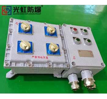 粉塵防爆配電箱 現(xiàn)場防爆動力配電箱
