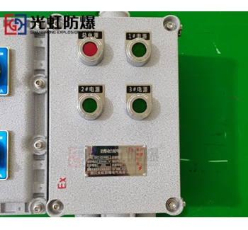 粉塵防爆配電箱 現(xiàn)場防爆動力配電箱
