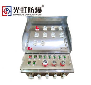 304不銹鋼防爆配電箱帶防雨罩