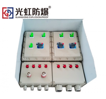 防爆動(dòng)力電源檢修插銷(xiāo)箱(戶外壁掛式安裝）